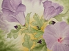 Purple-Hibiscus-blog
